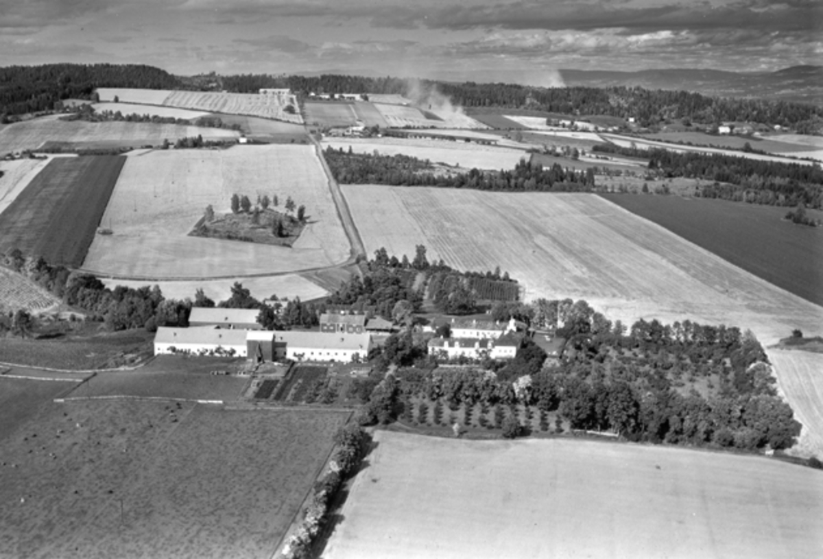 Widerøes Flyveselskap A/S, Flyfoto, gardsbruk, Hovinsholm, Helgøya.