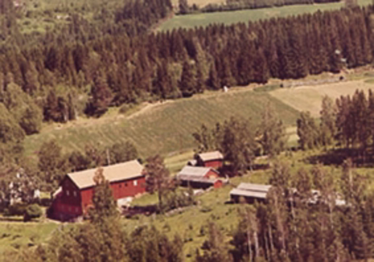 Widerøes Flyveselskap A/S, Flyfoto av Fjordnes, Bergseng, Ringsaker.