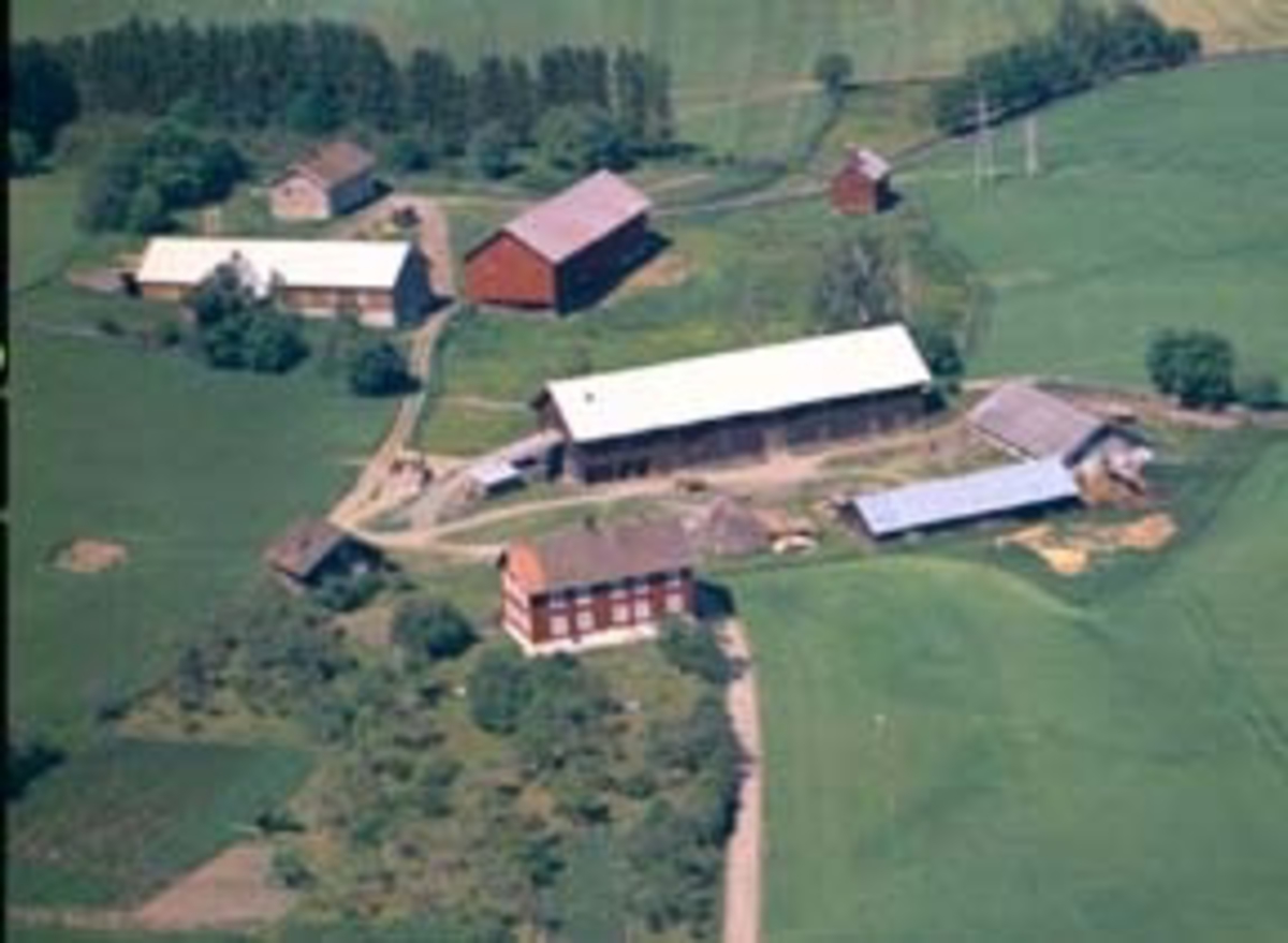 Widerøes Flyveselskap A/S, Flyfoto, Kårtorp søndre og nordre. Furnes, Ringsaker.