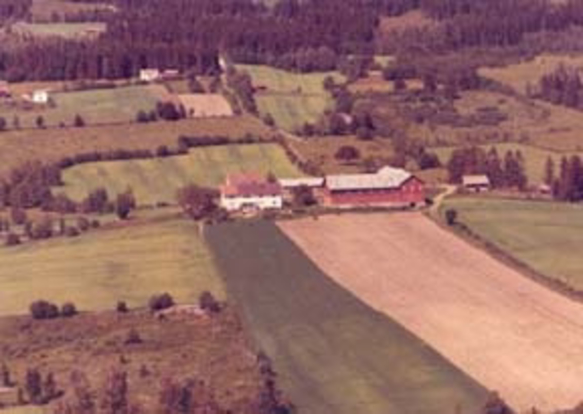 Widerøes Flyveselskap A/S, Flyfoto av Grøtholm gard, Furnes, Ringsaker.