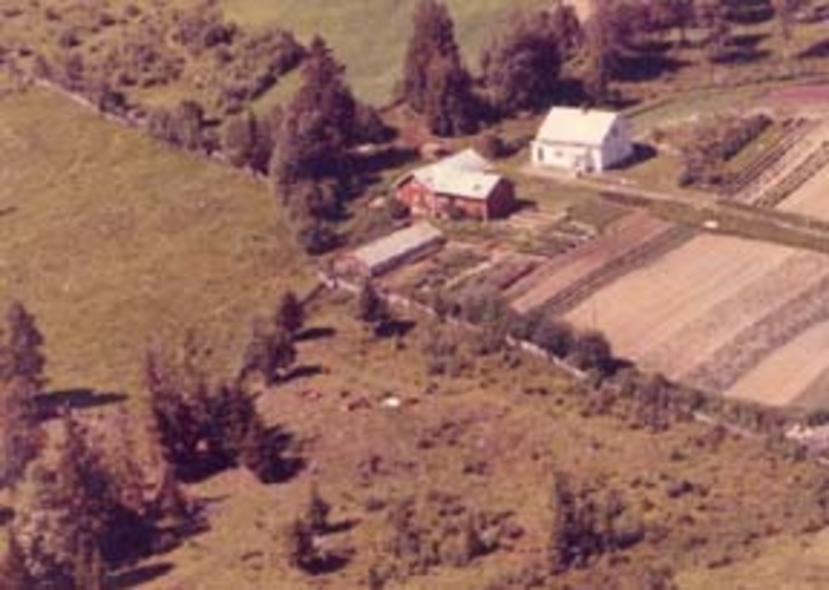Widerøes Flyveselskap A/S, Flyfoto av Haugersveen, Furnes, Ringsaker.