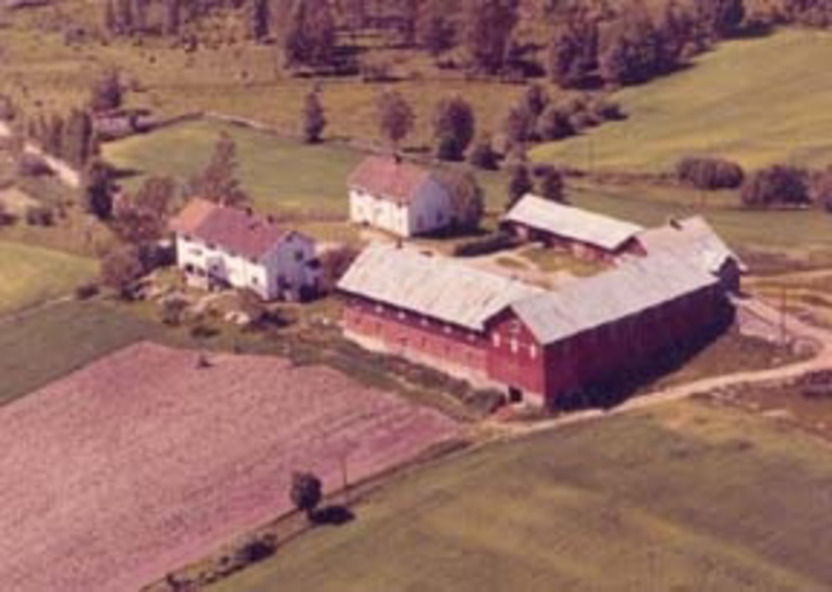 Widerøes Flyveselskap A/S, Flyfoto av Grøtholm gard, Furnes, Ringsaker.