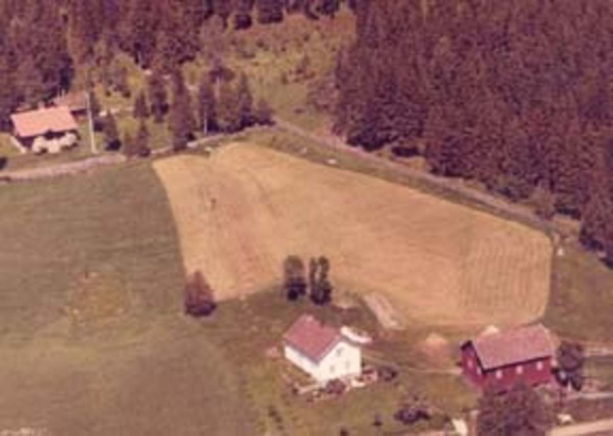 Widerøes Flyveselskap A/S, Flyfoto av Rognlia, Furnes, Ringsaker.