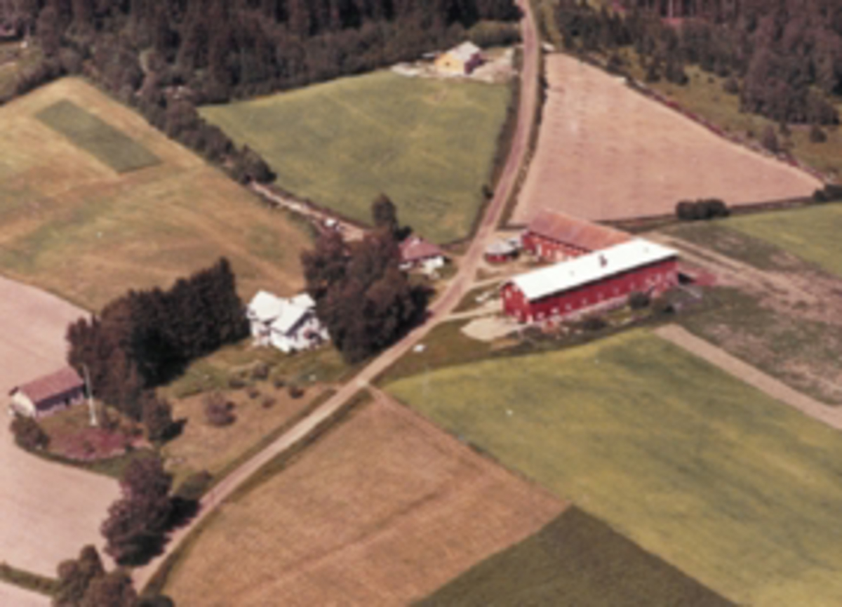 Widerøes Flyveselskap A/S, Flyfoto av Pinnerud gard, Furnes, Ringsaker.