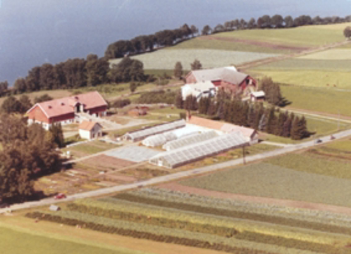 Widerøes Flyveselskap A/S, Flyfoto av Statens Hagebruksskole Vea, Ring, Ringsaker.