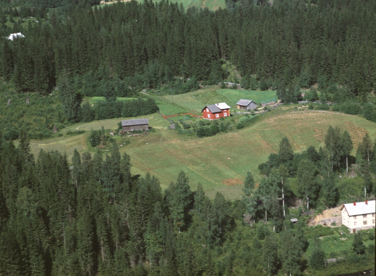 Widerøes Flyveselskap A/S, Flyfoto av ukjent bebyggelse, Næroset, Ringsaker.