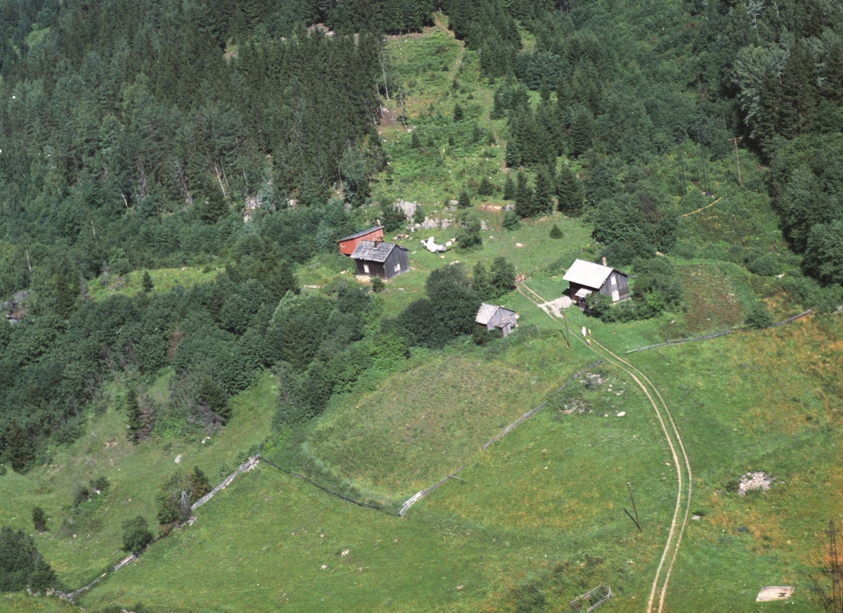 Widerøes Flyveselskap A/S, Flyfoto av ukjent husmannsplass, Moelv?, Ringsaker.