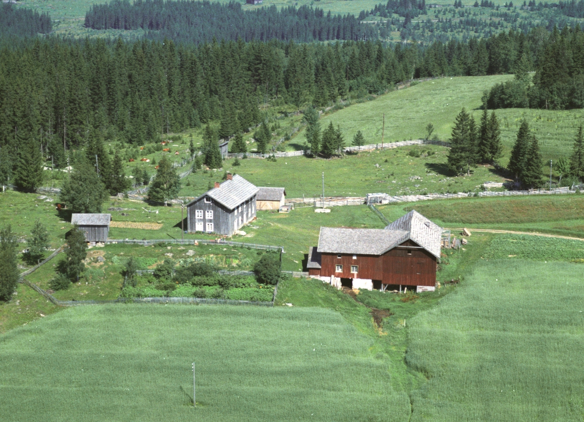 Widerøes Flyveselskap A/S, Flyfoto av Sveinsveen, Brøttum, Ringsaker.