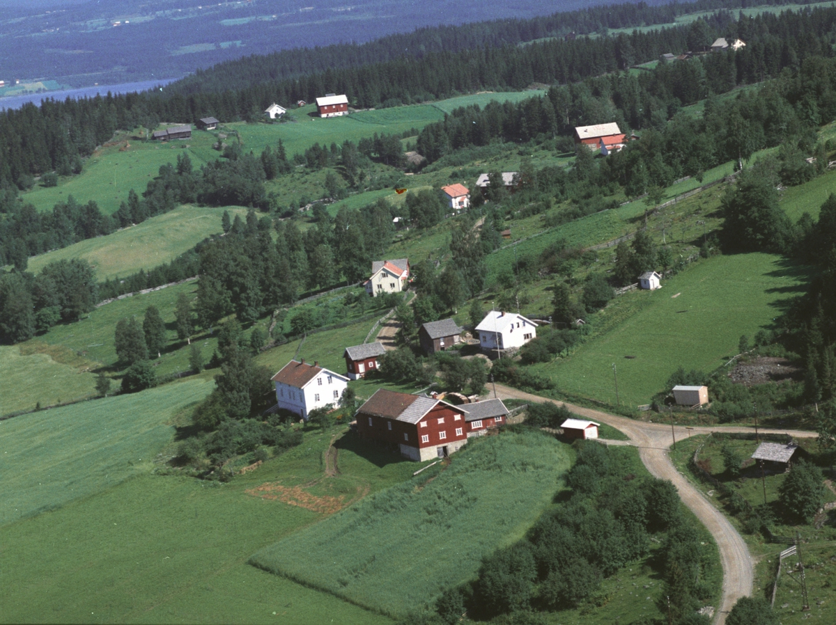 Widerøes Flyveselskap A/S, Flyfoto av boliger og landbruk ved Norheimvegen, Brøttum, Ringsaker.