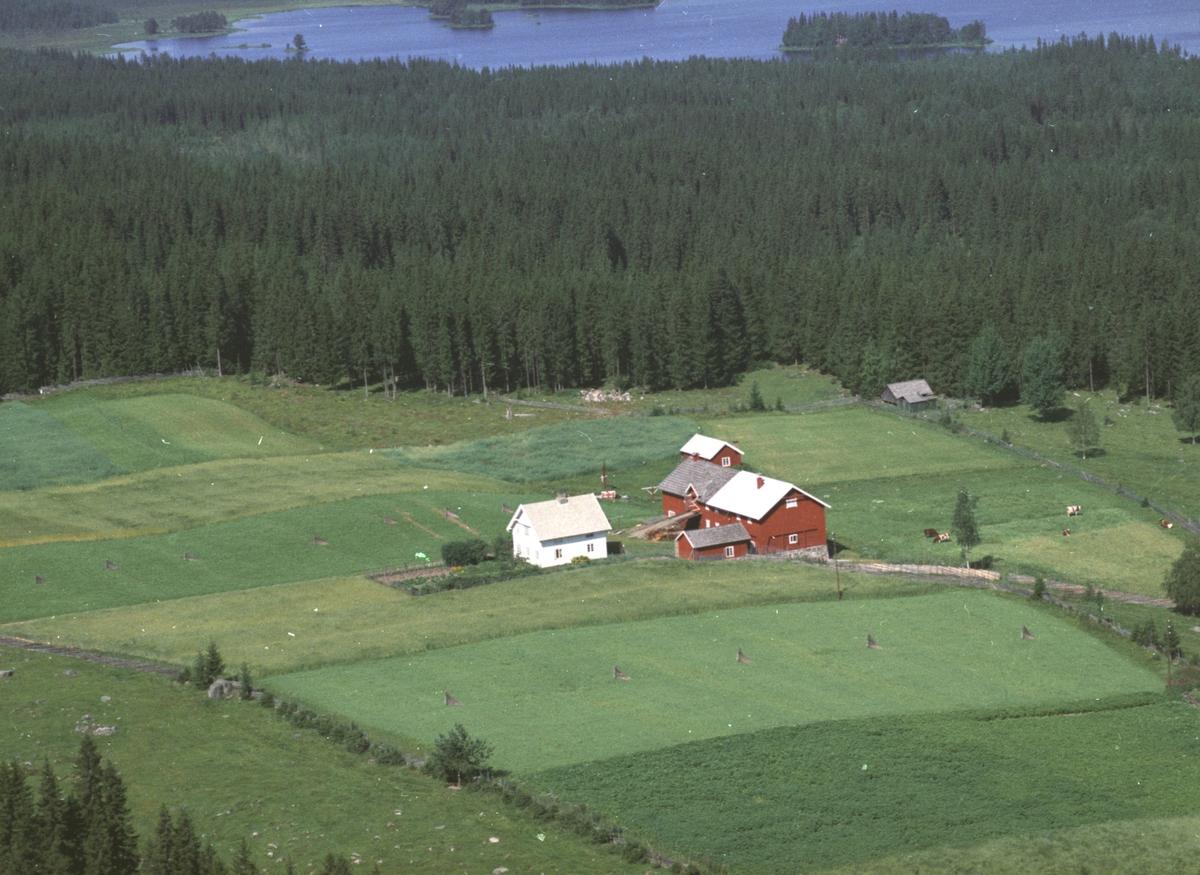Widerøes Flyveselskap A/S, Flyfoto av Brenna, Næroset, Ringsaker.
