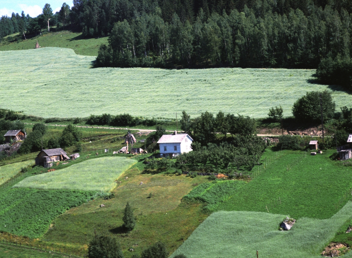 Widerøes Flyveselskap A/S, Flyfoto av Heggelund, husmannsplass, Ring, Ringsaker.