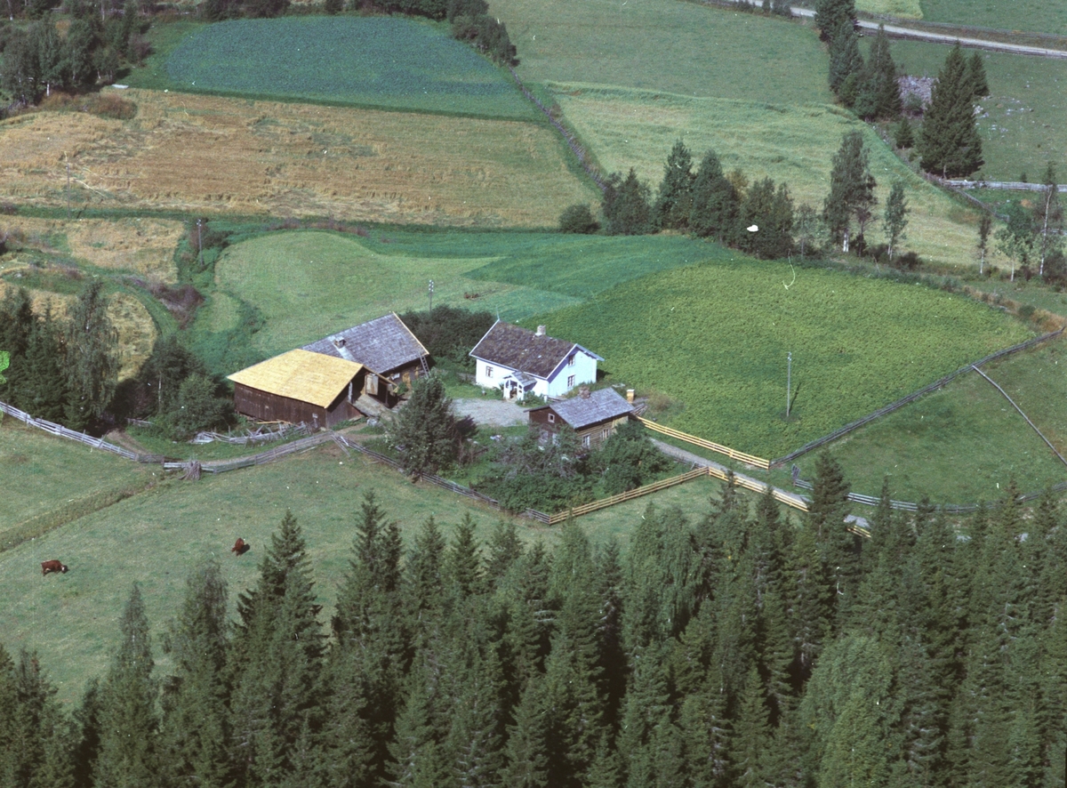 Widerøes Flyveselskap A/S, Flyfoto, Bakken gard, Stensengdalen, Ringsaker.