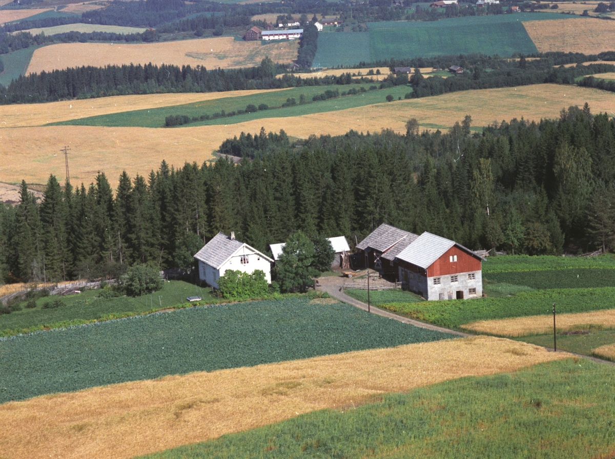 Widerøes Flyveselskap A/S, Flyfoto, Brynjulfstua (Sameien), Gaupen, Ringsaker.