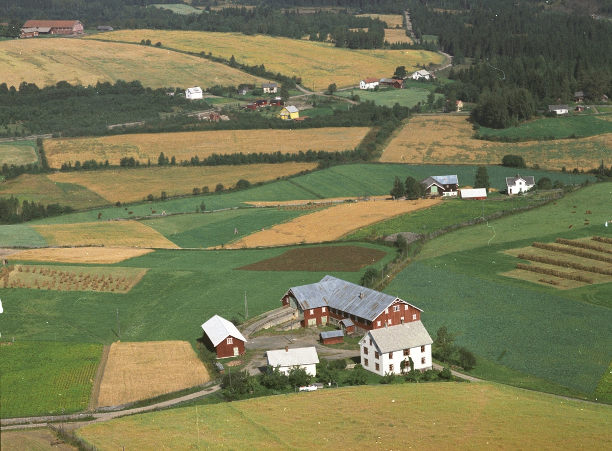 Widerøes Flyveselskap A/S, Flyfoto. Engeskaug gard, Gaupen, Ringsaker.