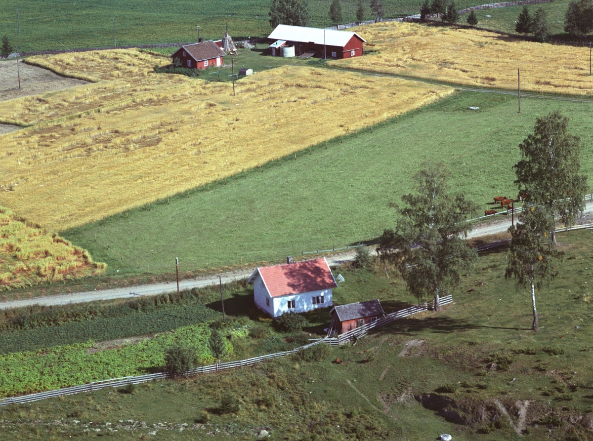 Widerøes Flyveselskap A/S, Flyfoto, Nordsvea i forgrunn, husmannsplassen Rønningen i bakgrunn. Gaupen, Ringsaker.