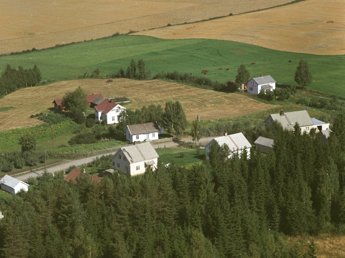 Widerøes Flyveselskap A/S, Flyfoto, boliger, Lundsdalen, Gaupen, Ringsaker.