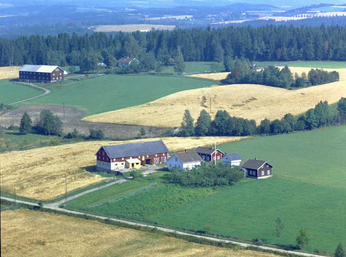 Widerøes Flyveselskap A/S, Flyfoto, Skårshaug gard, Gaupen, Ringsaker.