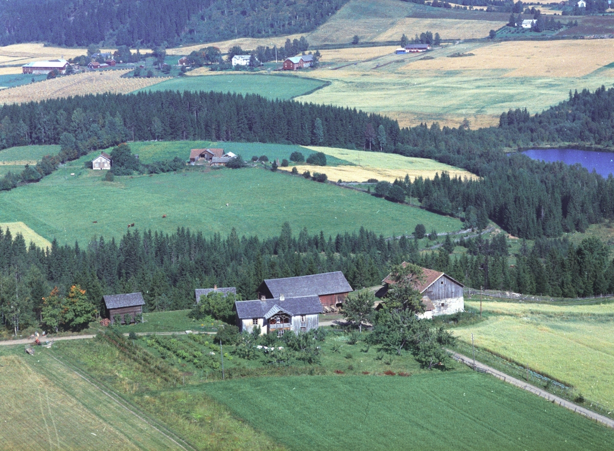 Widerøes Flyveselskap A/S, Flyfoto, Hagen øvre, Gaupen, Ringsaker.