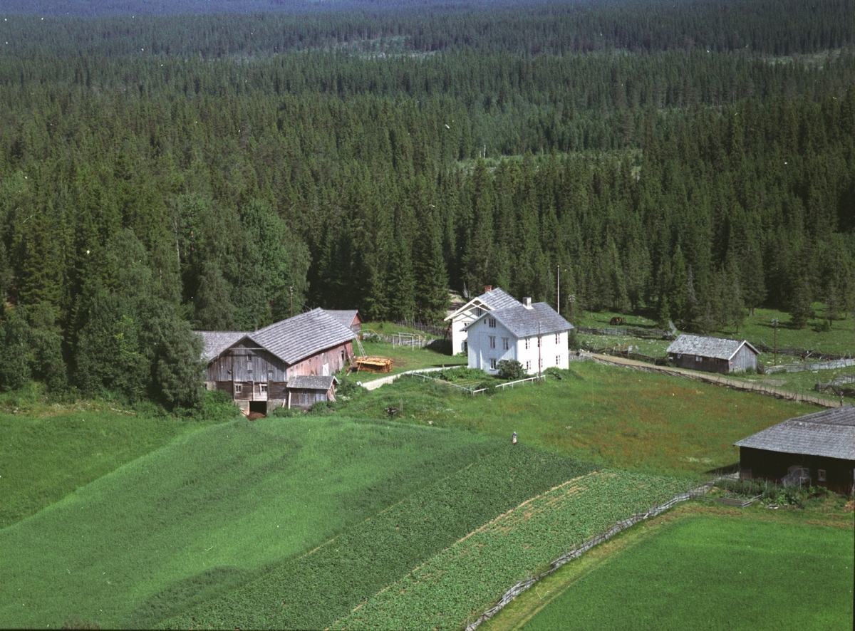 Widerøes Flyveselskap A/S, Flyfoto, Bergundhaugen nordre, Ringsaker.