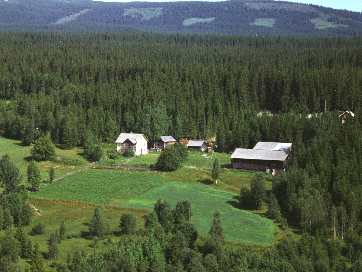 Widerøes Flyveselskap A/S, Flyfoto, Søndre Mesnalien, Ringsaker.