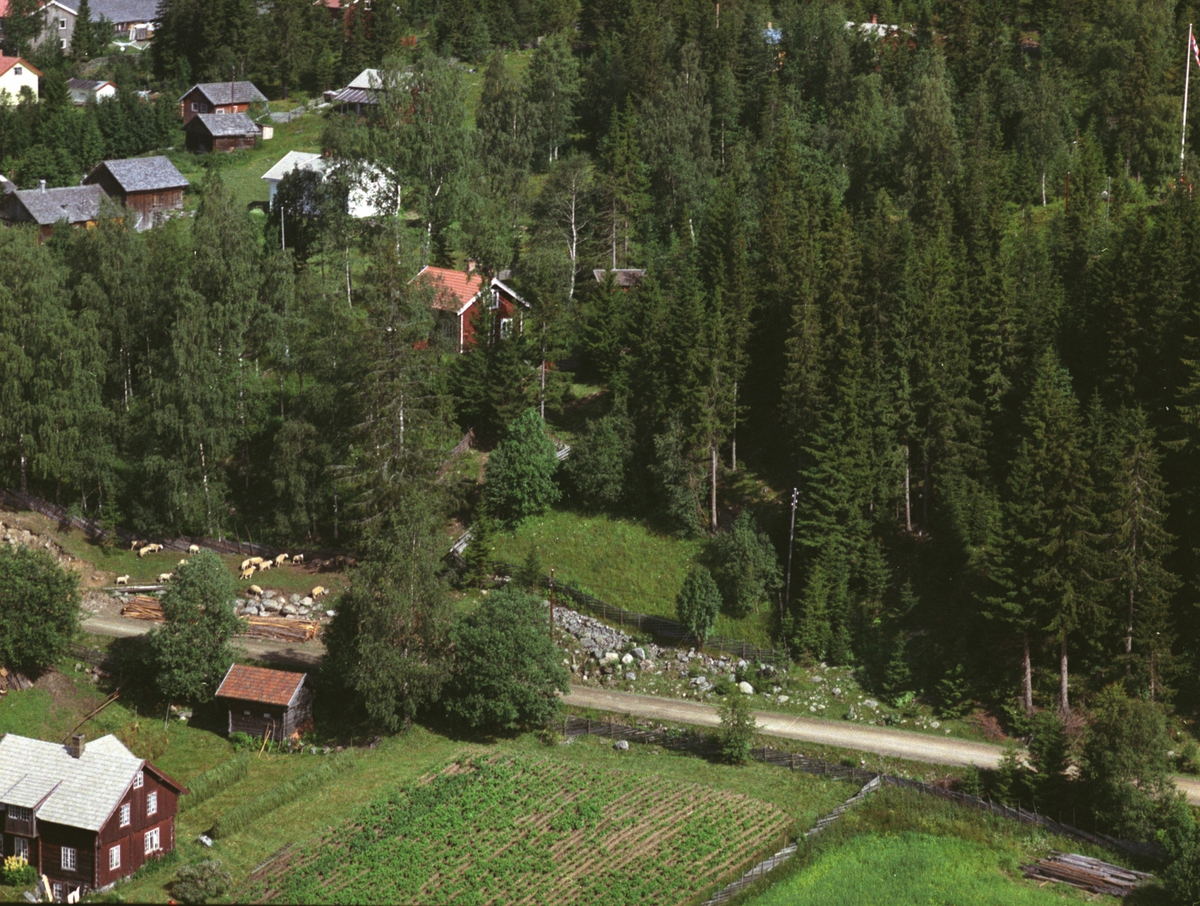 Widerøes Flyveselskap A/S, Flyfoto, bebyggelse ved Sørmessenvegen, Mesnalia, Ringsaker.
