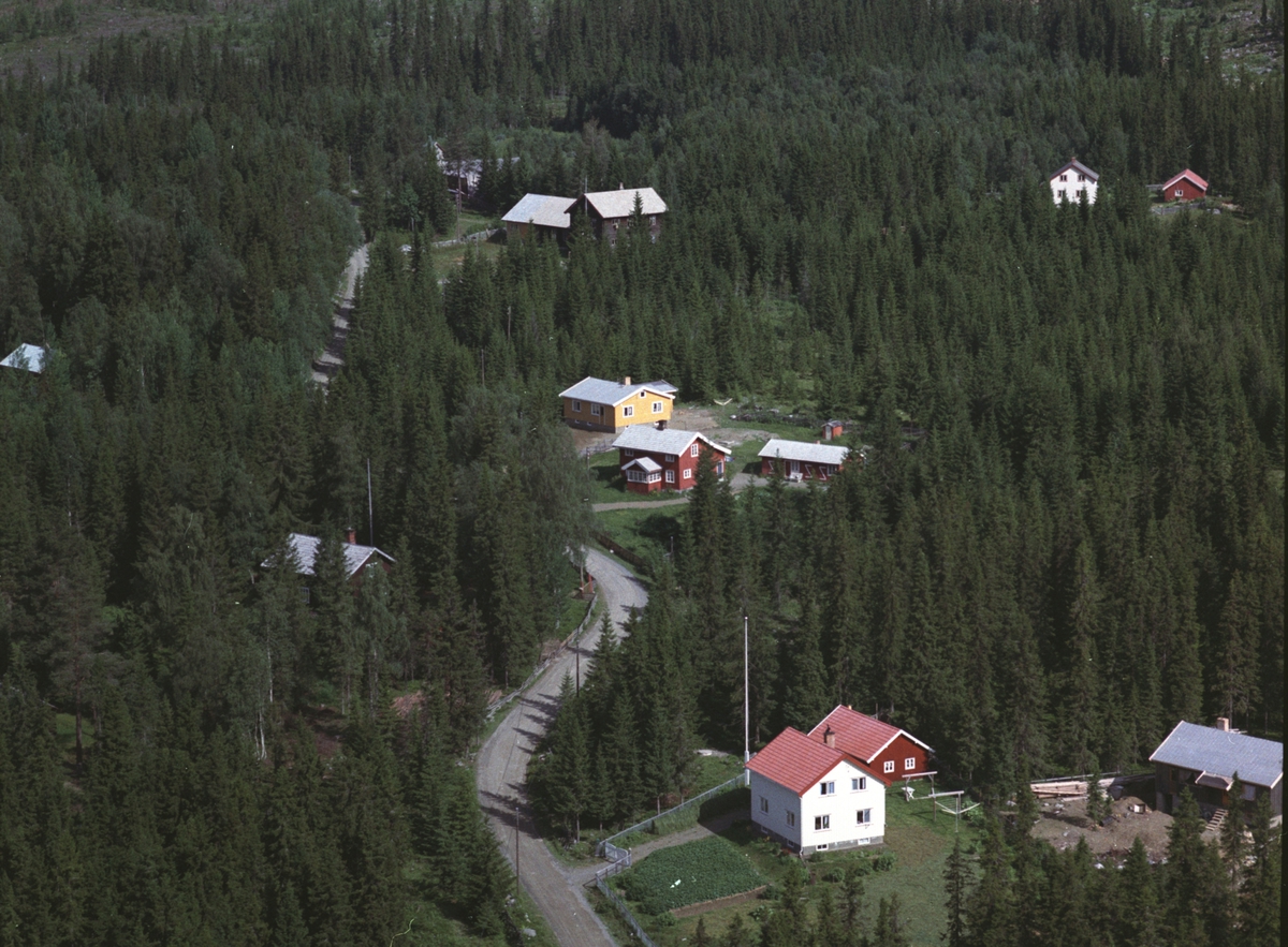 Widerøes Flyveselskap A/S, Flyfoto, Engeli, Mesnalia, Ringsaker.