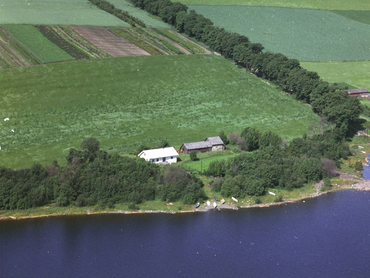Widerøes Flyveselskap A/S, Flyfoto, småbruk, Grefheim, Mjøsa, Nes, Hedmark.