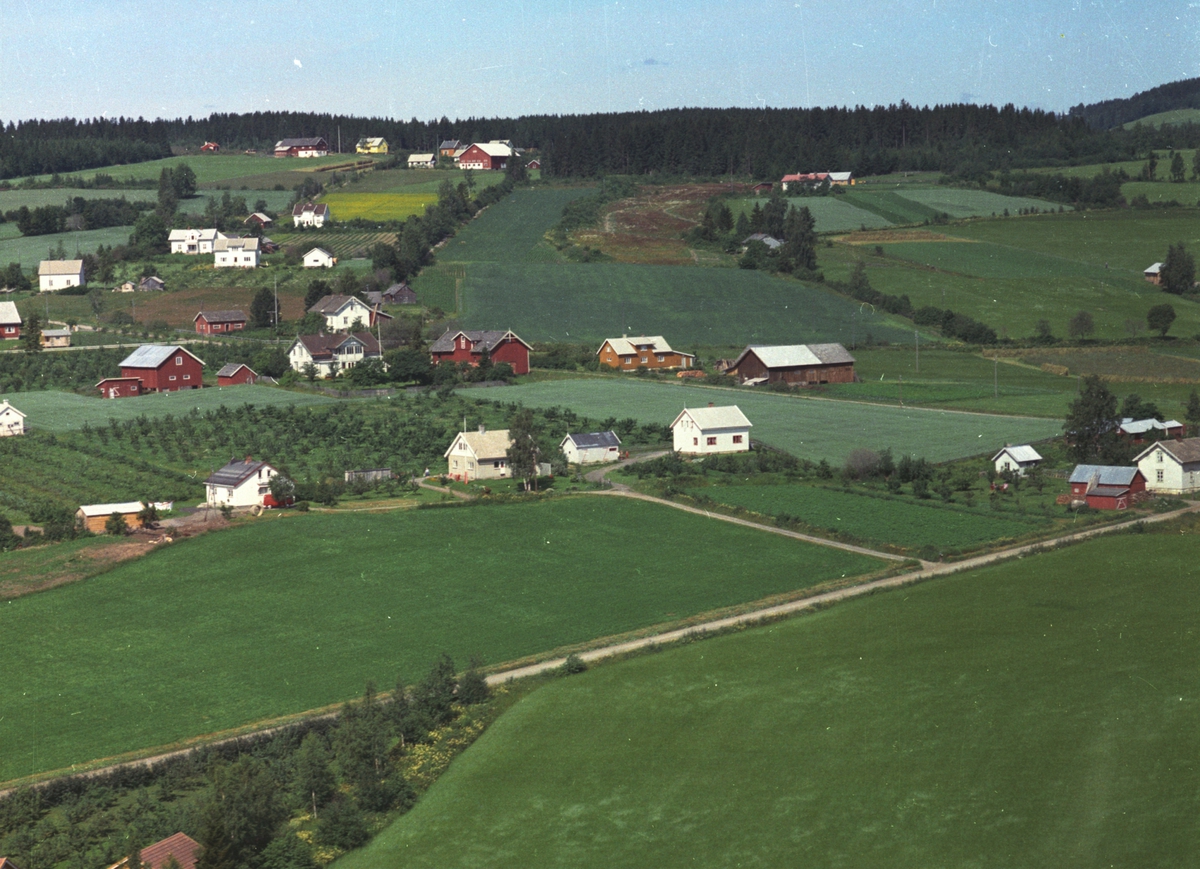 Widerøes Flyveselskap A/S, Flyfoto, bebyggelse, landbruk, Tamburstuen, Nes, Hedmark.