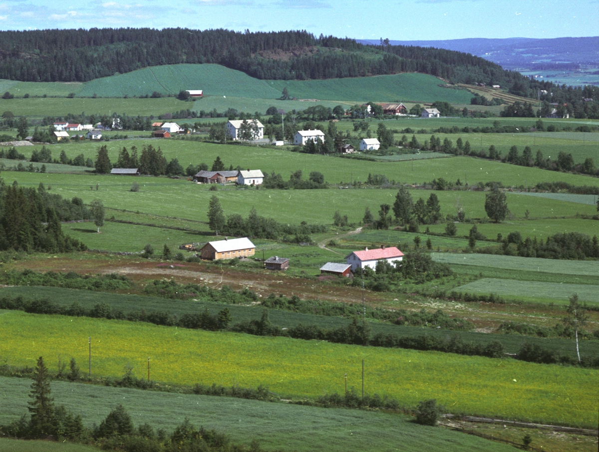 Widerøes Flyveselskap A/S, Flyfoto, småbruk, Håkenstad, Nes, Hedmark.