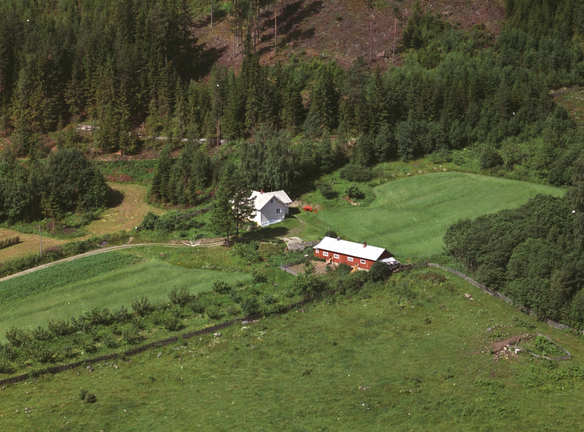 Widerøes Flyveselskap A/S, Flyfoto av Tangen/Tången, Grefsheimvegen 130, Gardsnummer 576-5 og 6 under Haug nedre, Nes, Hedmark.