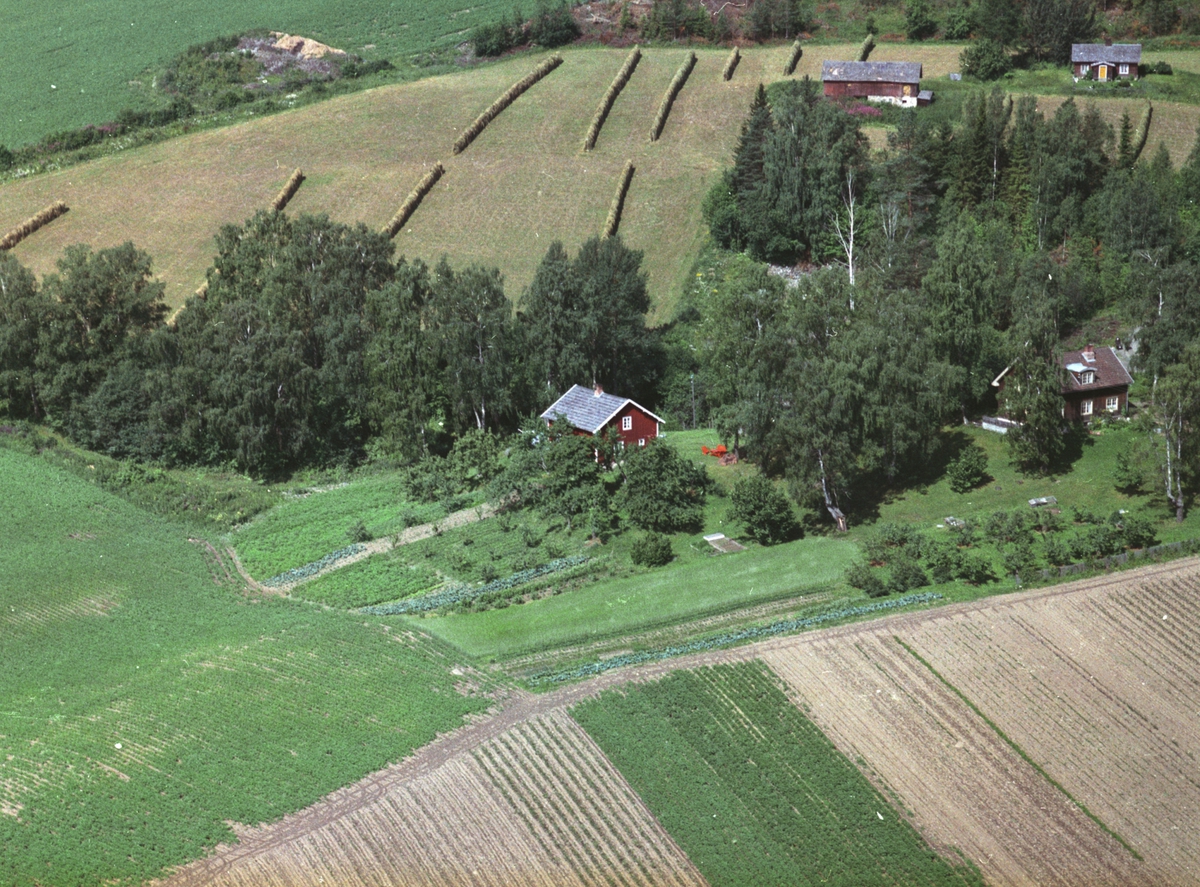 Widerøes Flyveselskap A/S, Flyfoto, Rud til venstre, Grefsheimvegen 126, Bjerke eller Bjerkeli før brann i 1964. Søberg i bakgrunnen. Nes, Hedmark.