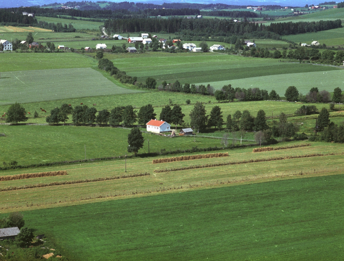 Widerøes Flyveselskap A/S, Flyfoto, Hølstad, tjenestebolig, Nes, Hedmark.