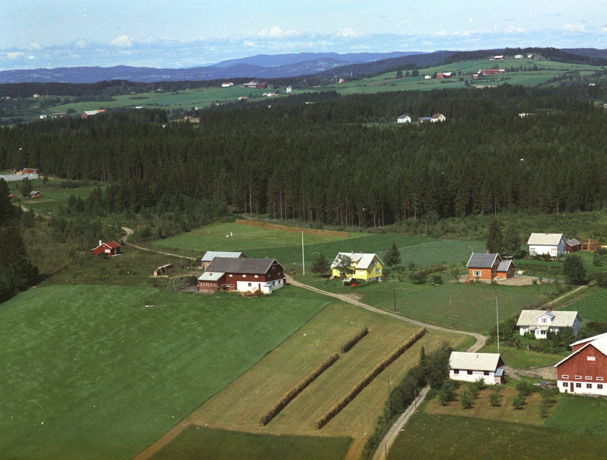 Widerøes Flyveselskap A/S, Flyfoto, småbruk, Petterborg, Nes, Hedmark.