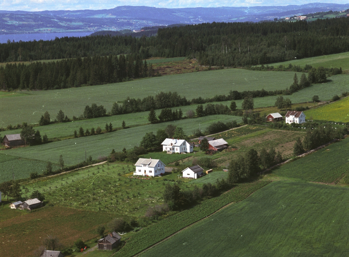 Widerøes Flyveselskap A/S, Flyfoto, småbruk, Molstad, Nes, Hedmark.