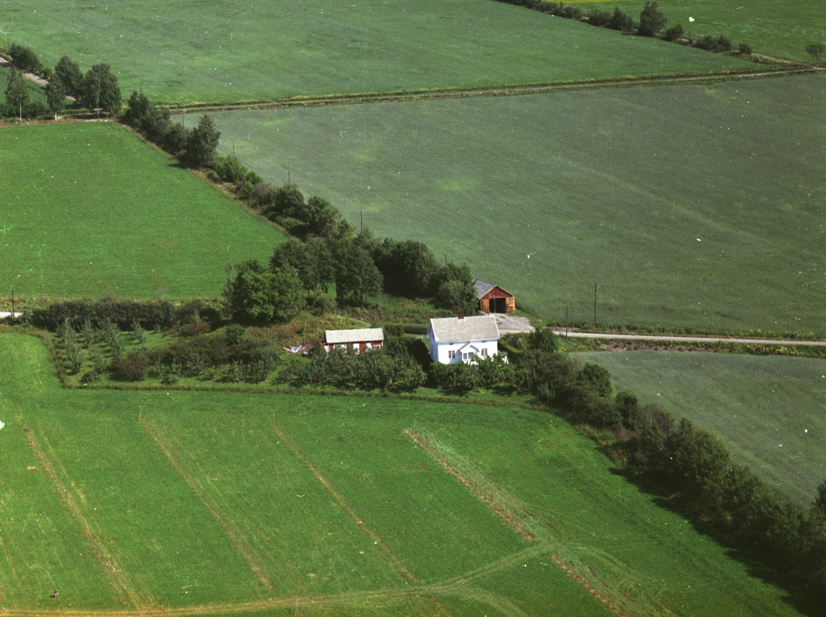 Widerøes Flyveselskap A/S, Flyfoto, småbruk, Ekhaugen, Nes, Hedmark.