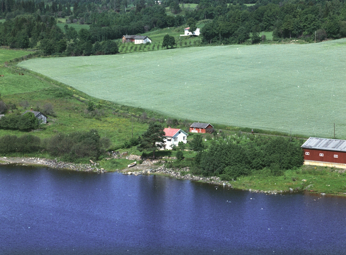 Widerøes Flyveselskap A/S, Flyfoto, småbruk, Mjøsa, Mjøsheim, Nes, Hedmark.