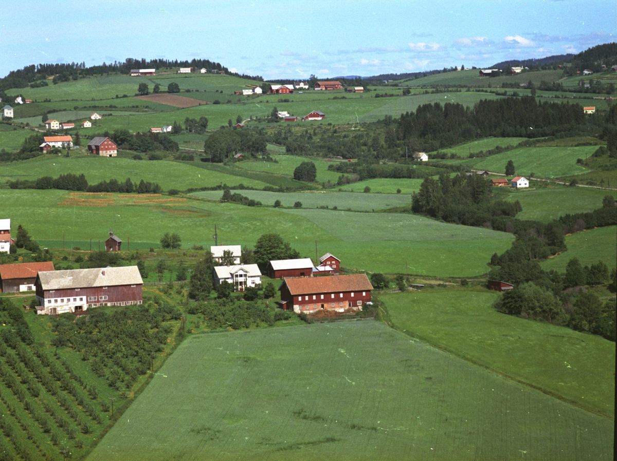 Widerøes Flyveselskap A/S, Flyfoto, gardsbruk, Kaulum østre og vestre, Nes, Hedmark.