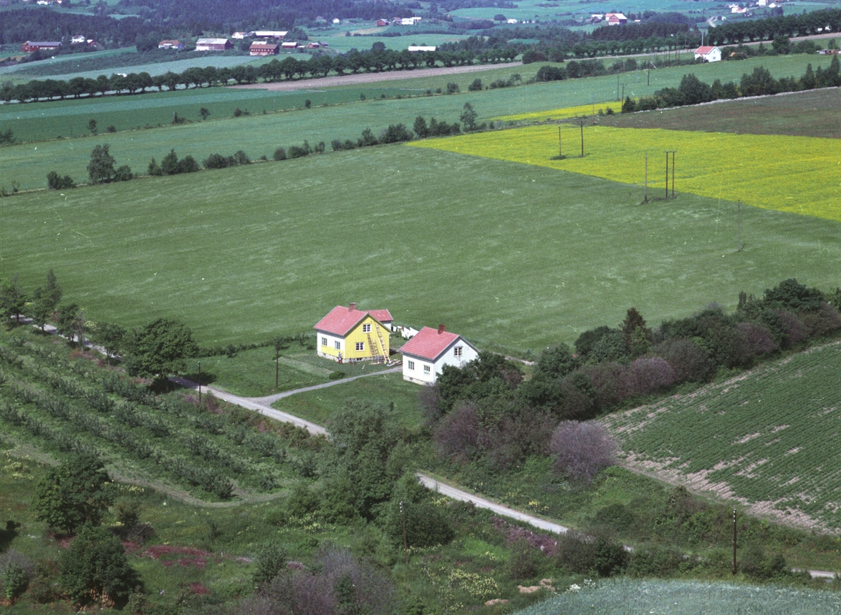 Widerøes Flyveselskap A/S, Flyfoto, boliger, Mølstadvegen, Nes, Hedmark.