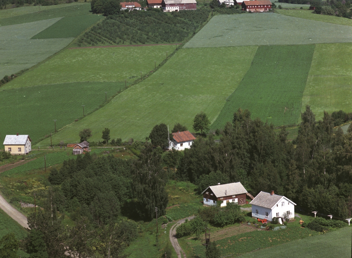 Widerøes Flyveselskap A/S, Flyfoto, bolig, Lye, Nes, Hedmark.