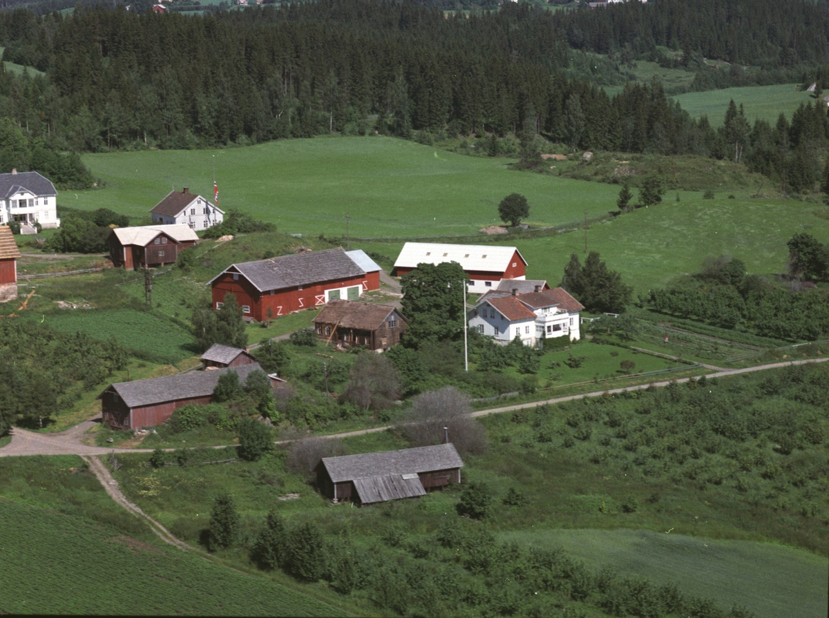 Widerøes Flyveselskap A/S, Flyfoto, gardsbruk, frukttrær, Hilstad, Nes, Hedmark.