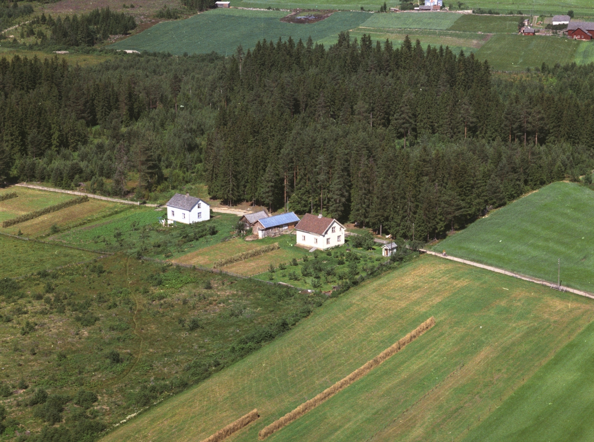 Widerøes Flyveselskap A/S, Flyfoto, småbruk, bolig, hesjer, Nymoen, Nes, Hedmark.