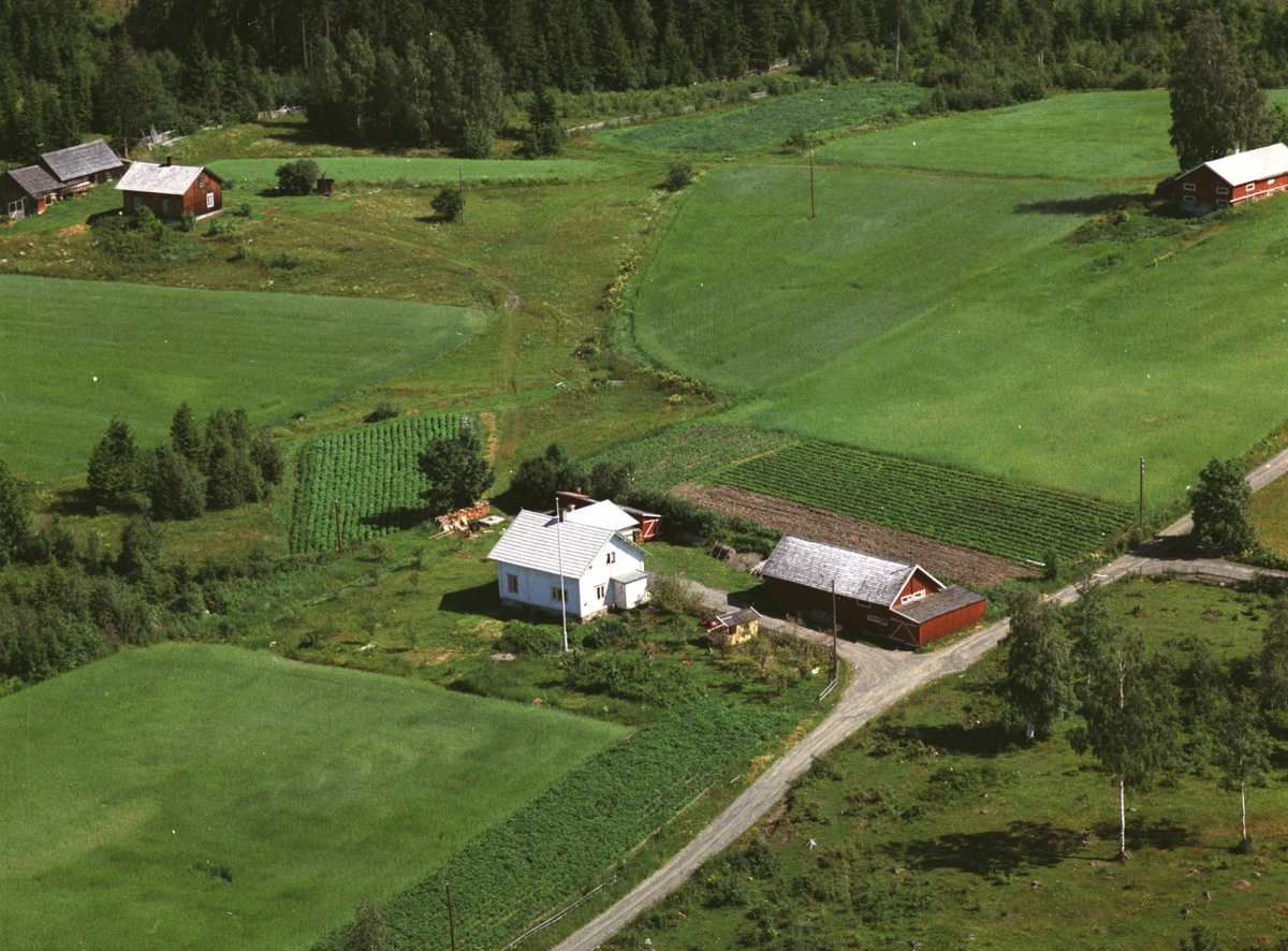 Widerøes Flyveselskap A/S, Flyfoto, småbruk, Nyseth, Nes, Hedmark.