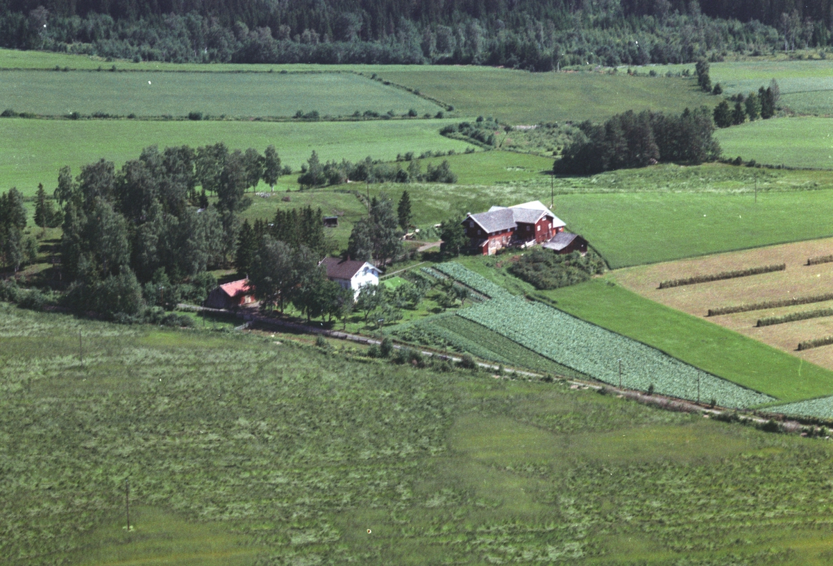Widerøes Flyveselskap A/S, Flyfoto, småbruk, Årlien, Nes, Hedmark.