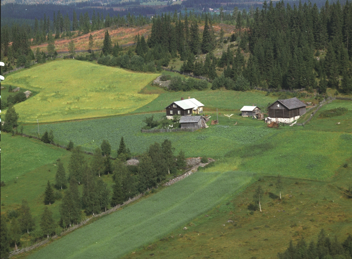 Widerøes Flyveselskap A/S, Flyfoto, Kollen (Kolden), Veldre, Ringsaker.