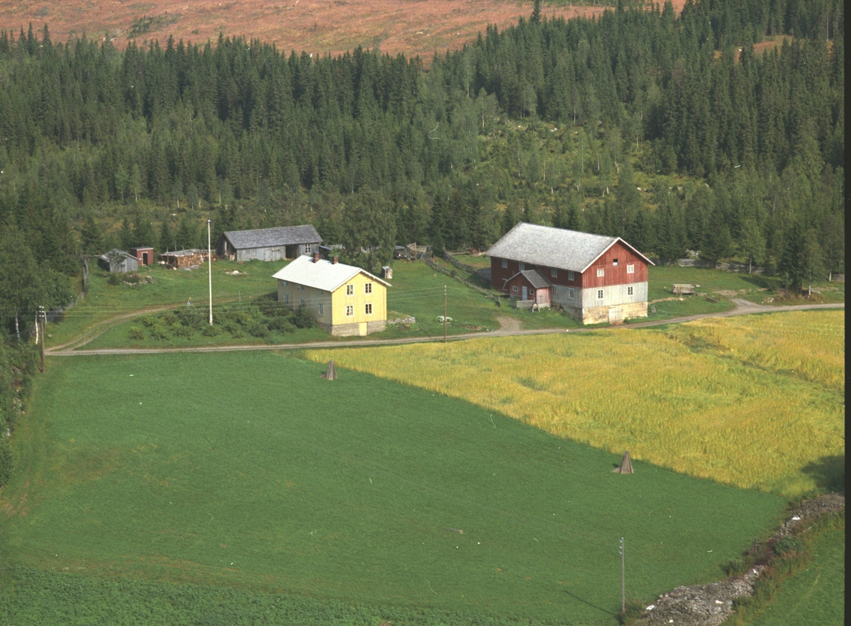 Widerøes Flyveselskap A/S, Flyfoto, Skogen østre, Veldre, Ringsaker.