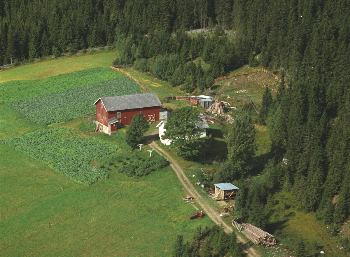 Widerøes Flyveselskap A/S, Flyfoto, Sollia, Veldre, Ringsaker.