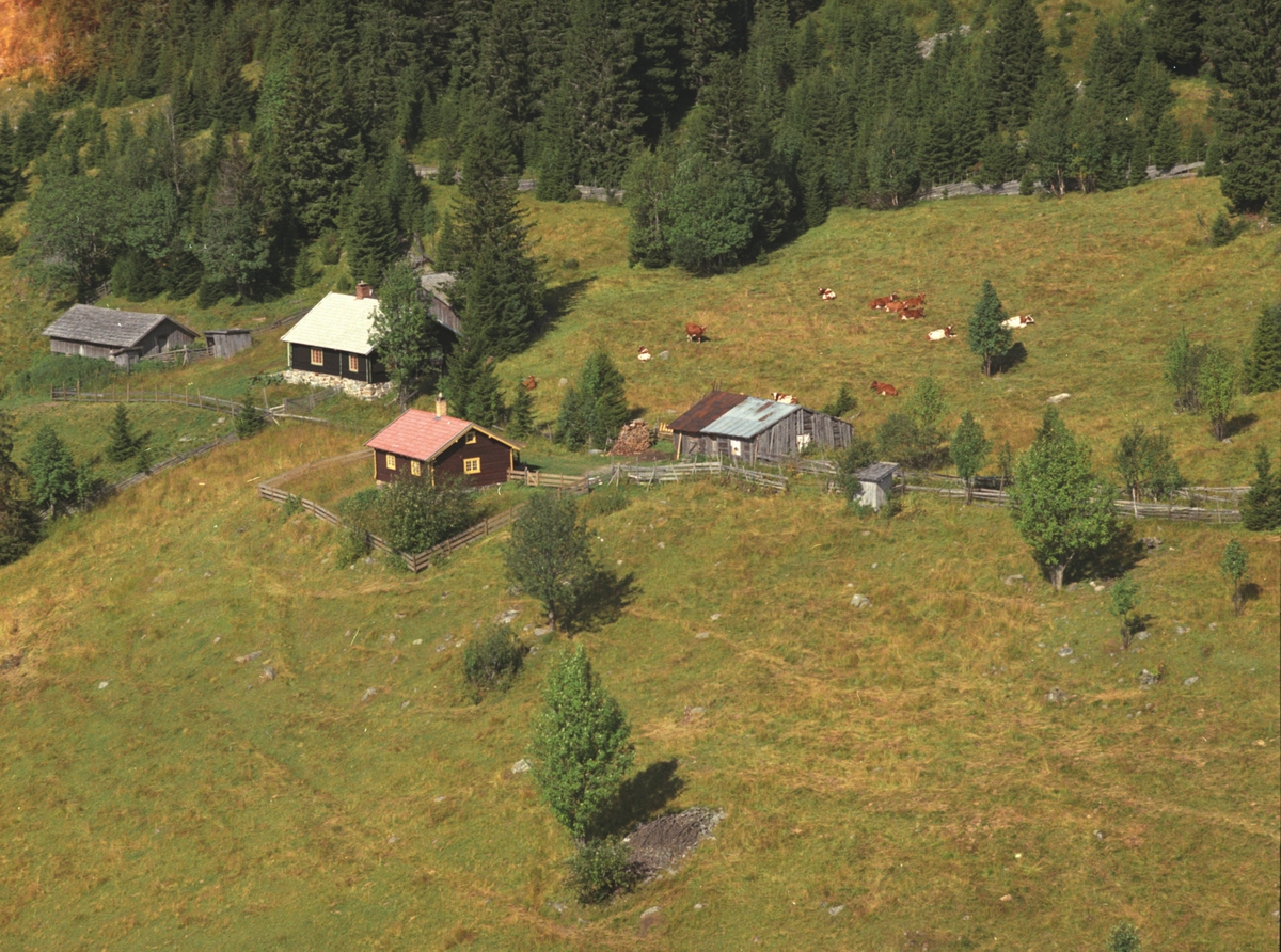 Widerøes Flyveselskap A/S, Flyfoto. Haukåsen, Veldre, Ringsaker.