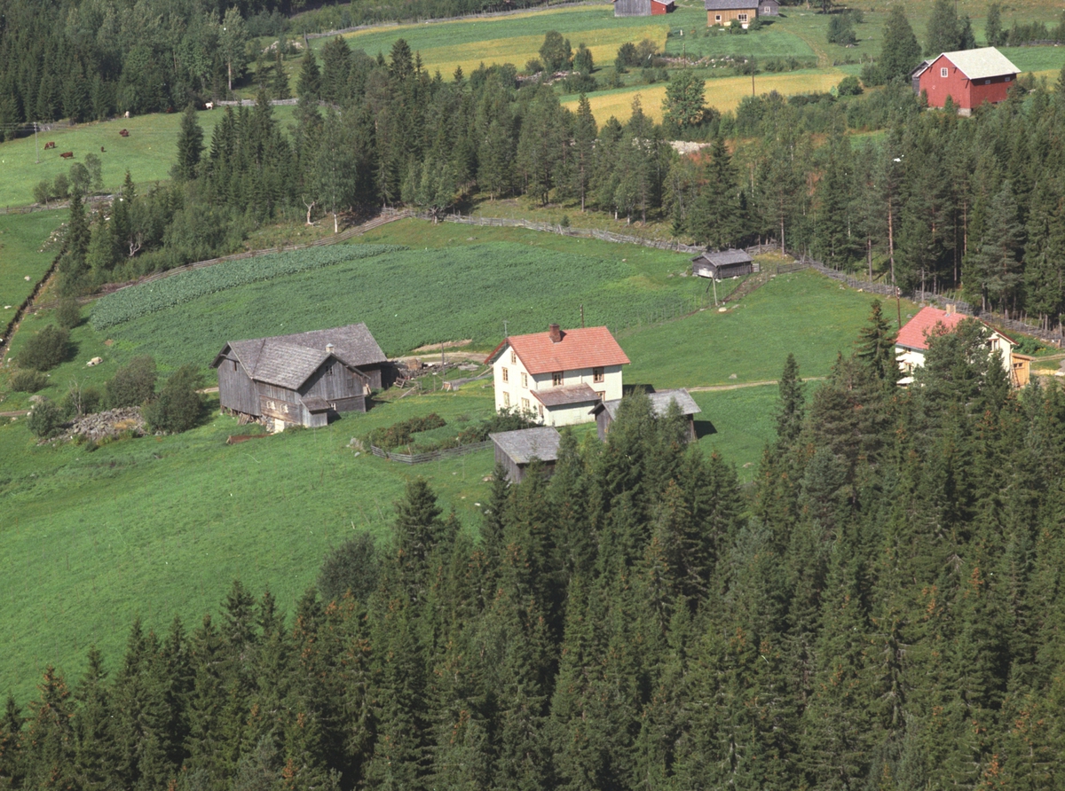 Widerøes Flyveselskap A/S, Flyfoto, Granerud, Næroset, Ringsaker.
