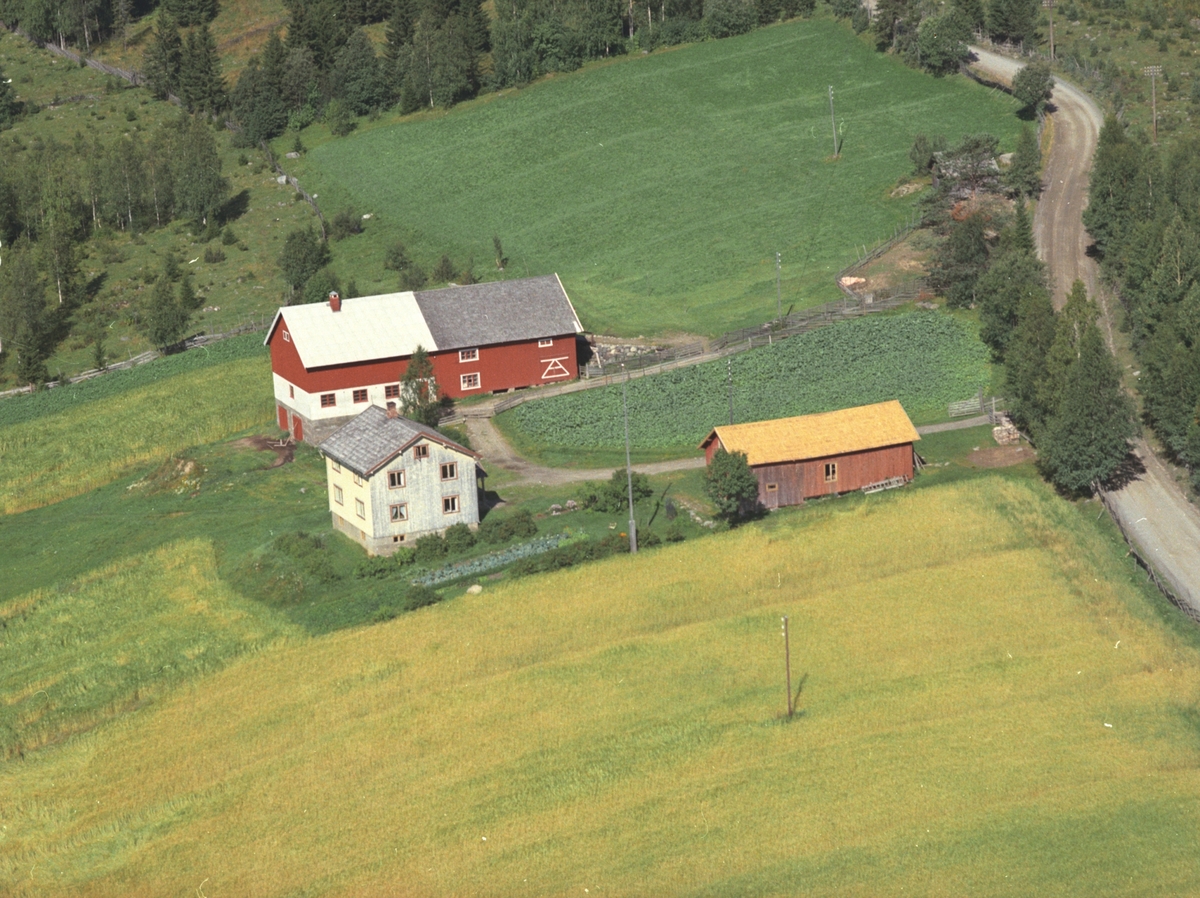 Widerøes Flyveselskap A/S, Flyfoto, Frisli, Næroset, Ringsaker.
