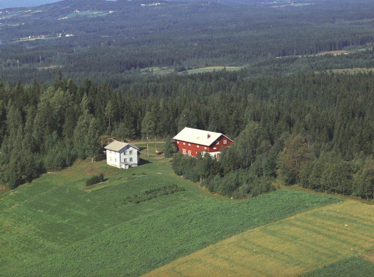 Widerøes Flyveselskap A/S, Flyfoto, Skogli, Åsmarka, Ringsaker.